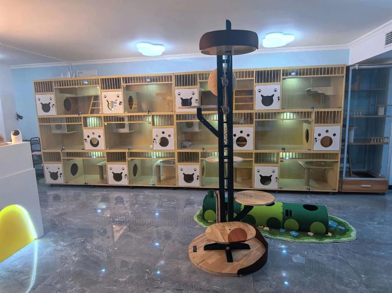 透视酒店托管行业新风向